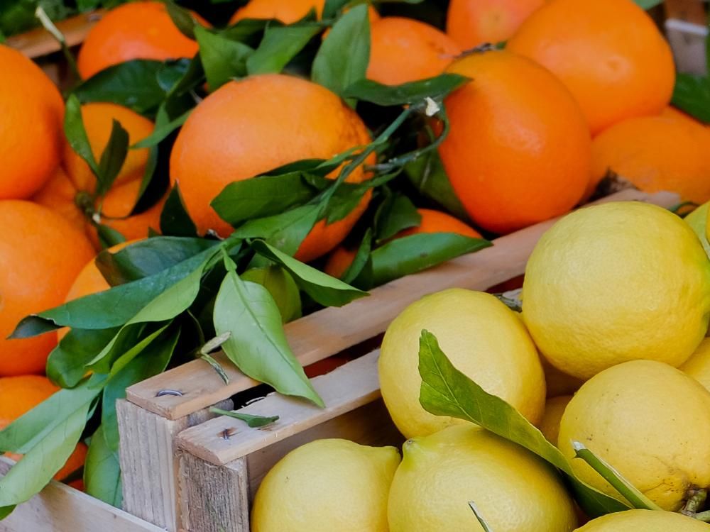 Kotlin vs Java: a detailed
comparison & typical use cases