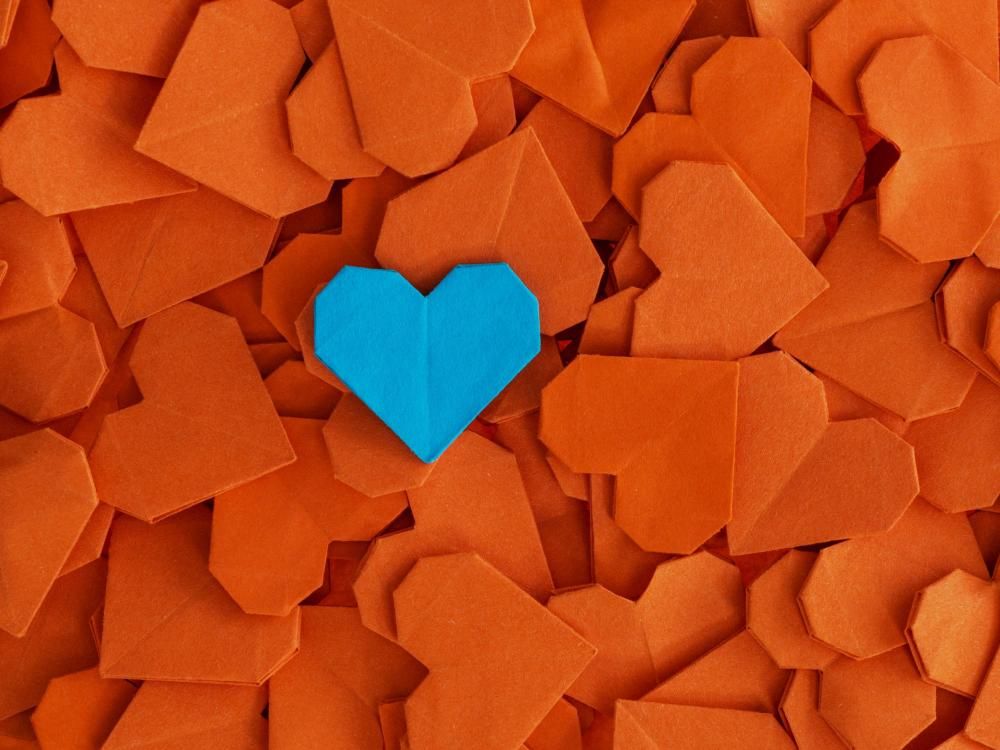 React Native vs Flutter:
key differences & a selection guide