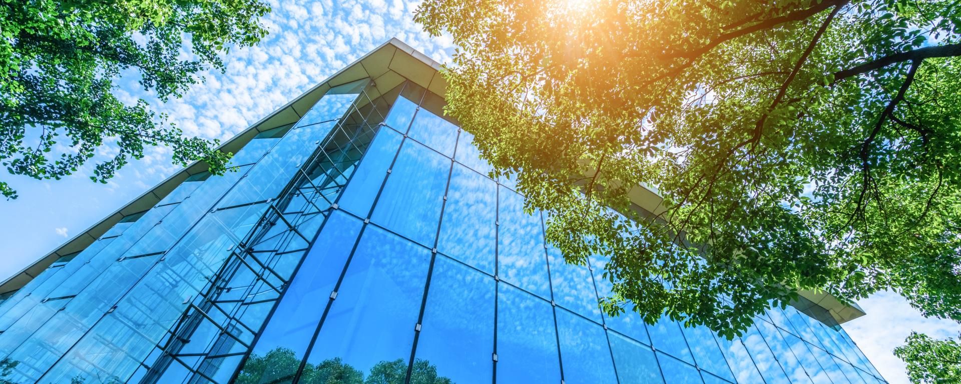 Salesforce Health Cloud consulting services