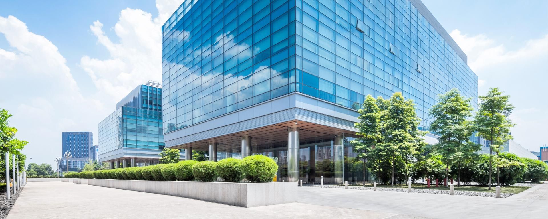 Microsoft Dynamics 365 consulting services
